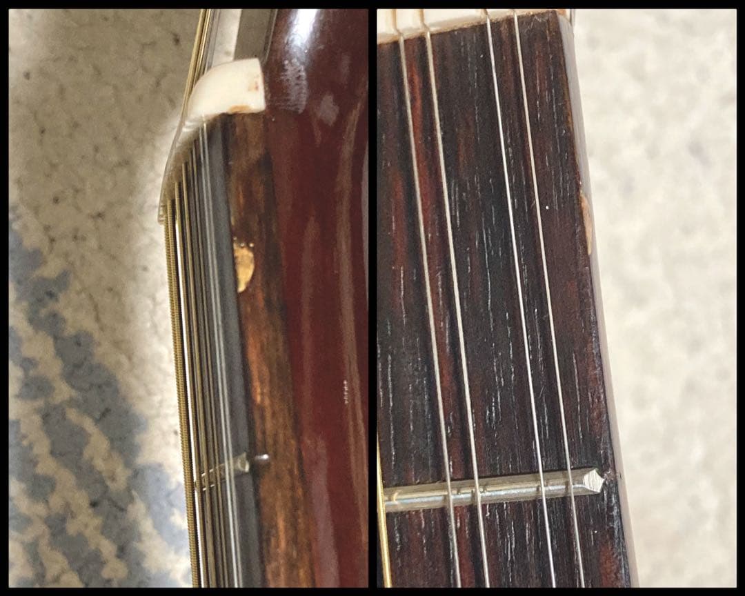 希少！】Elite 12弦ギター WG25 ジャパンヴィンテージ アコギ