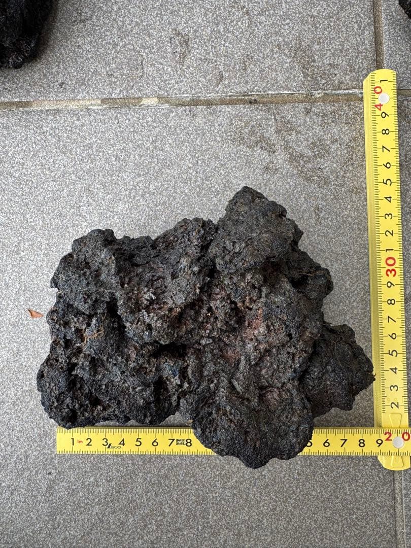 サムライラバロック大量