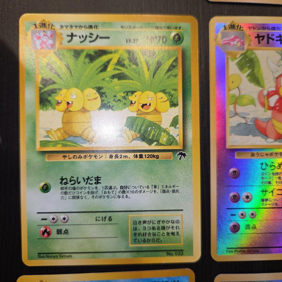 ポケモンカード旧裏 プレミアムファイル/トロピカルアイランド