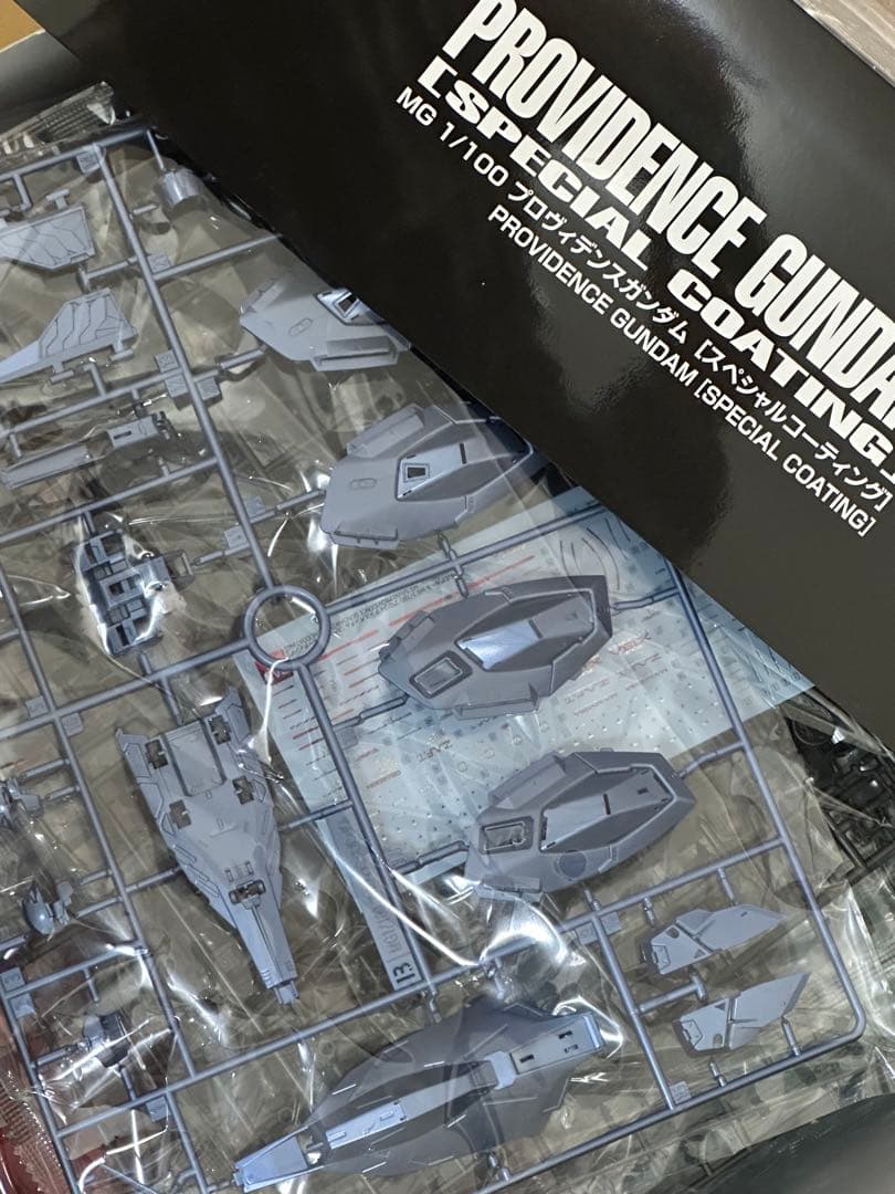 MG プロヴィデンスガンダム スペシャルコーティング