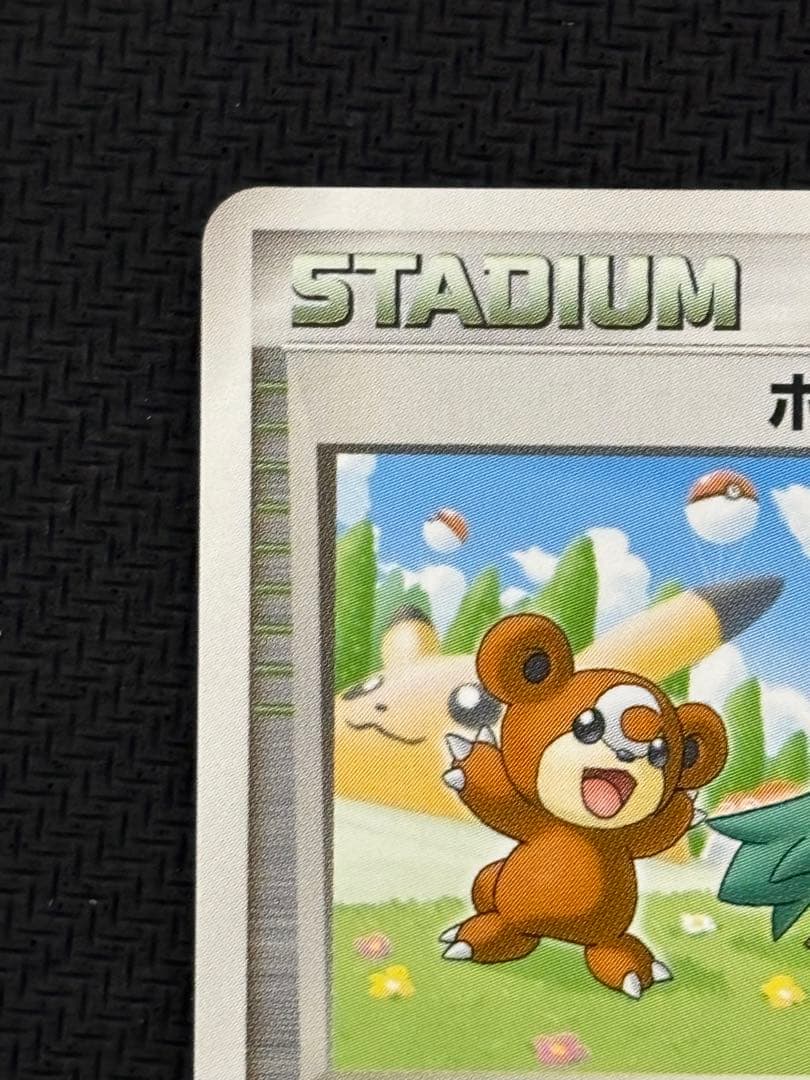 ポケモンパルシティ　北海道　大会　プロモ