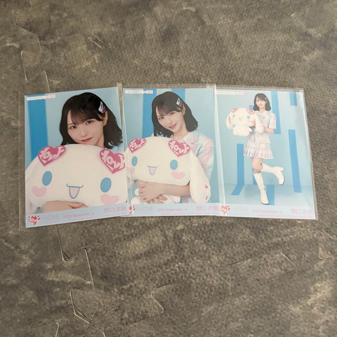 イコラブ 野口衣織 生写真セット シナモロールコラボ2025 コンプ