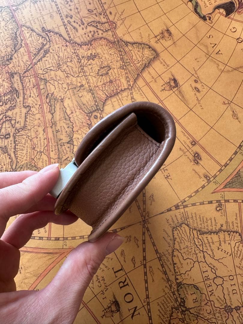 Dior ローラーコースター　air pods pro 小物　ケース