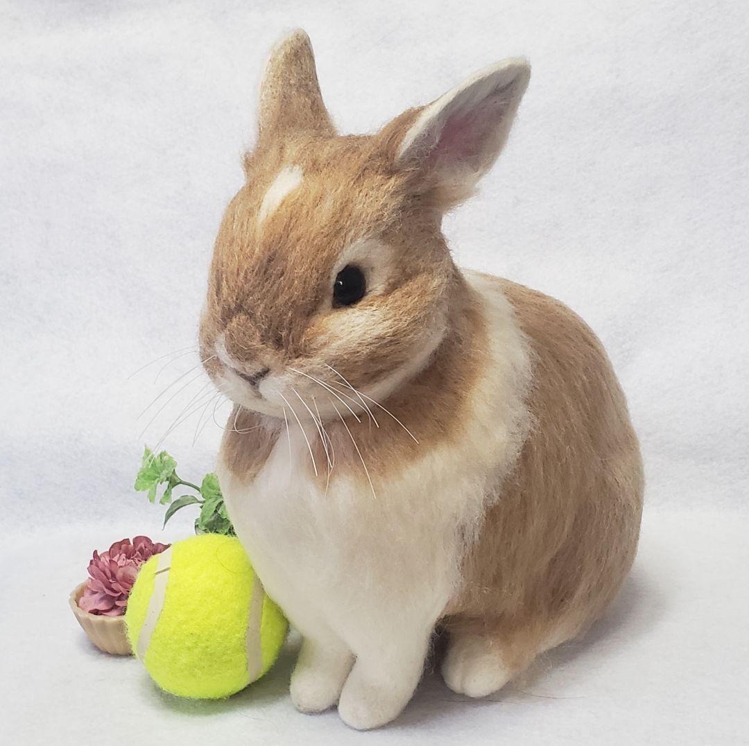 羊毛フェルト オーダー 「リアルで可愛いウサギちゃん」うちの子