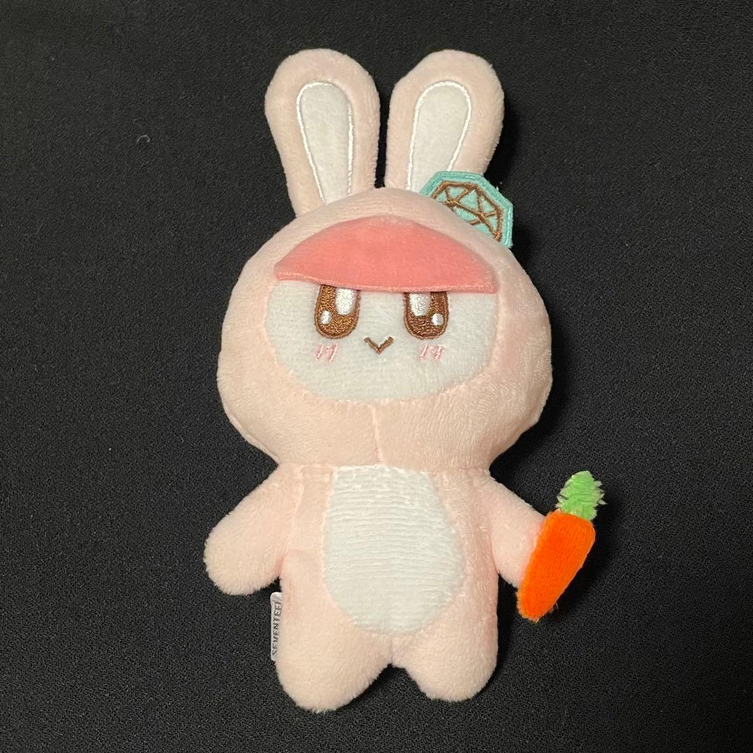 着ぐるみBONGBONG ボンボンイ ニンジン ウサギ 猫 ブタ 犬 ぬいぐるみ