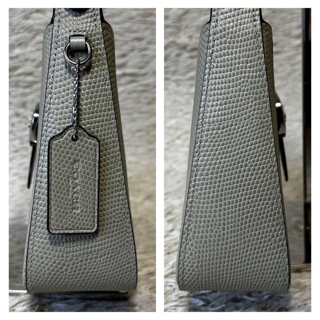 美品　コーチ　エライザ　ワンショルダーバッグ　リザード　デカロゴ　肩掛け　レザー