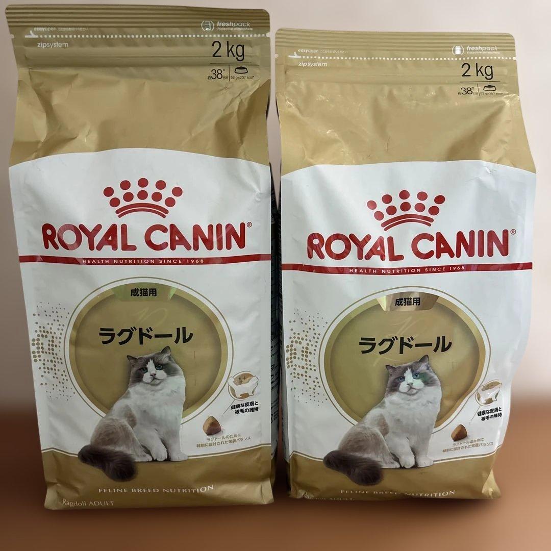 新品】ロイヤルカナン ラグドール成猫用 2kg × 2袋