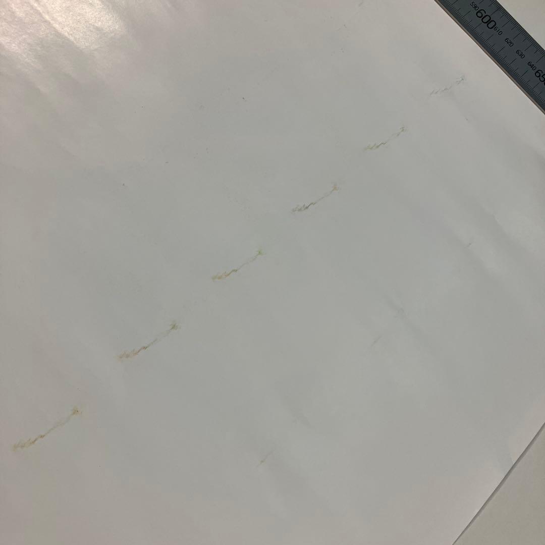 セーラー服を脱がさないで　おニャン子クラブ　B2ポスター　ダメージ有り