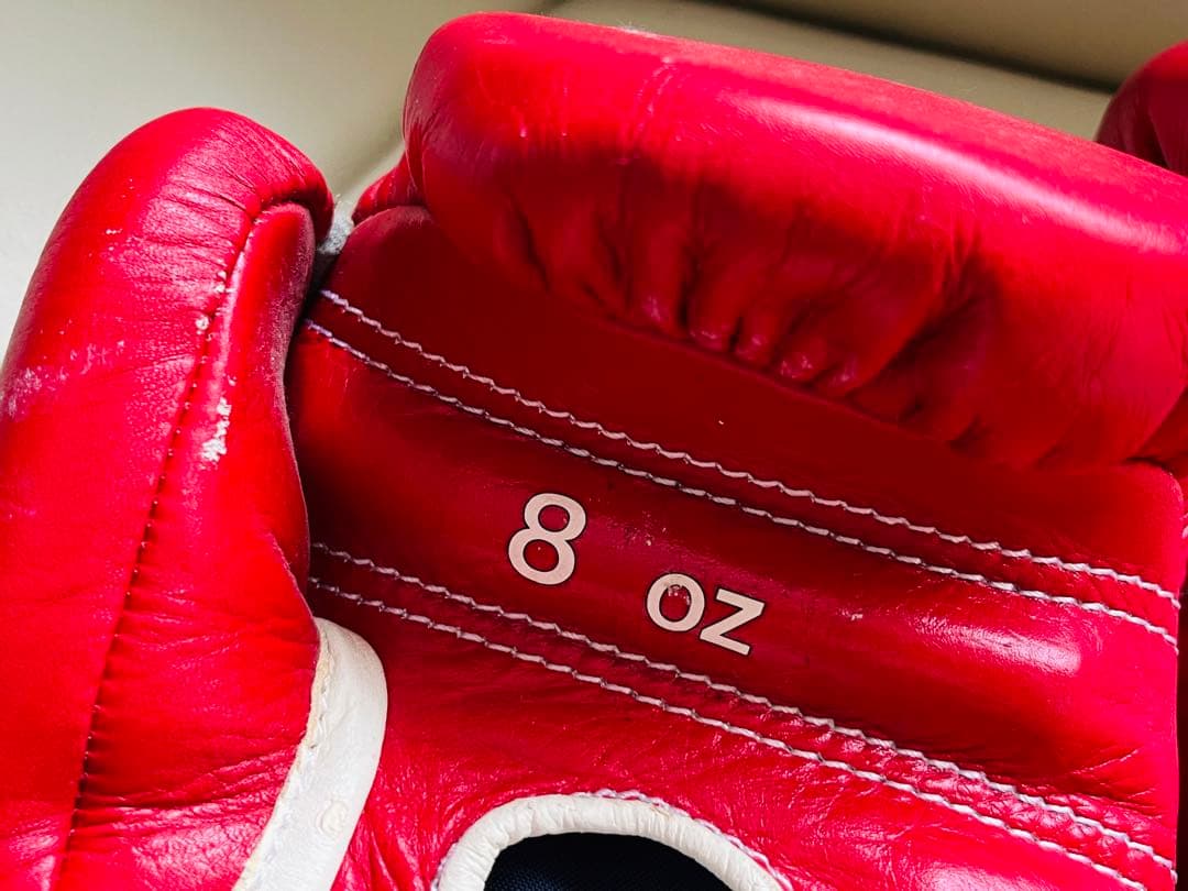 レア品】Winning ボクシンググローブ 8oz 長谷川穂積さんサイン入り