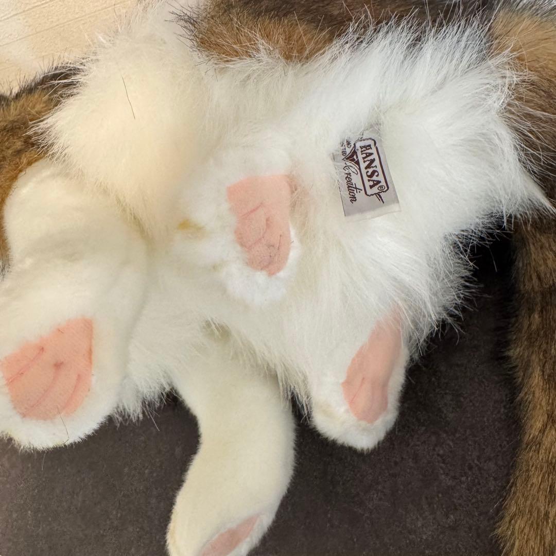 HANSA （ハンサ）ノルウェージャンフォレストキャット