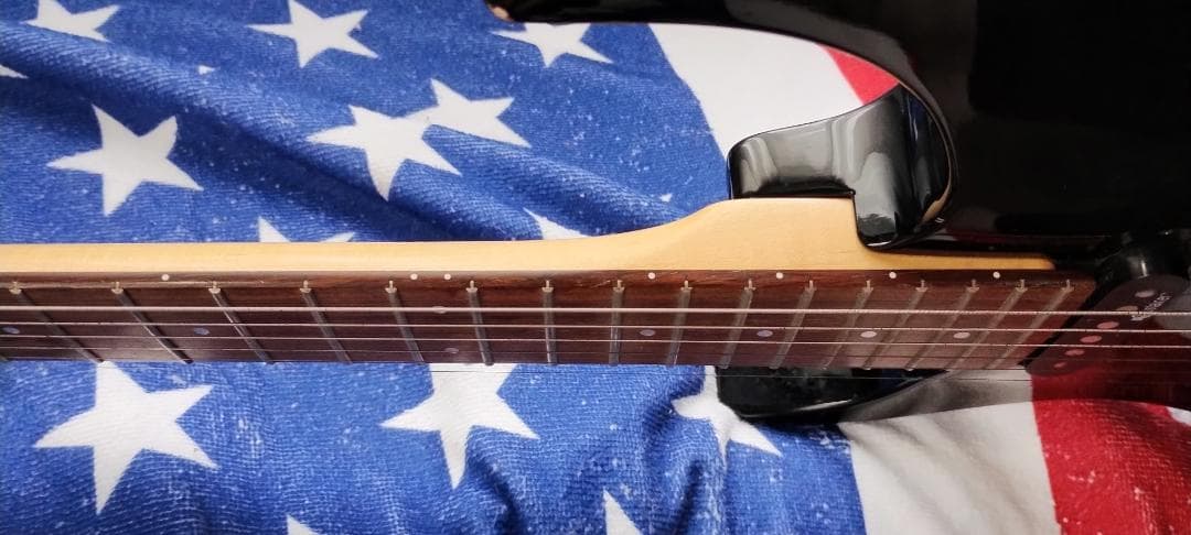 フェルナンデス サスティナー付き レフティ仕様