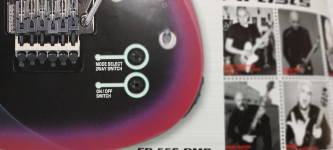 フェルナンデス サスティナー付き レフティ仕様