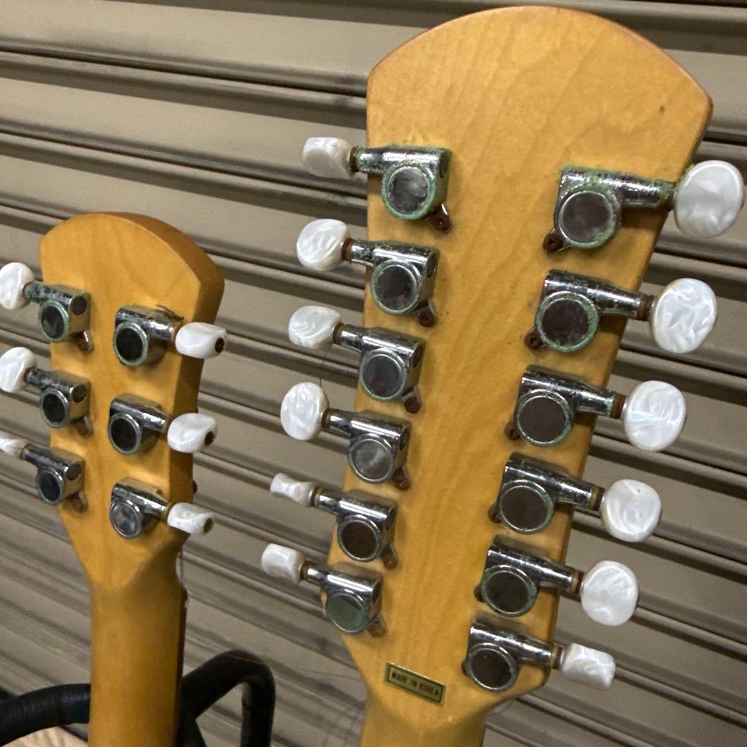 ギター Pignose PGG-TWIN