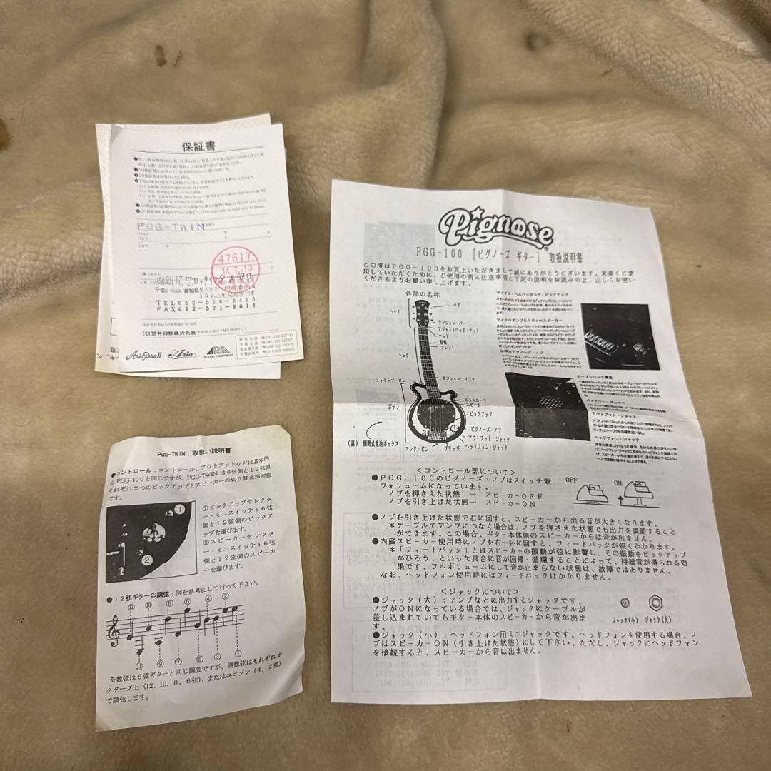 ギター Pignose PGG-TWIN