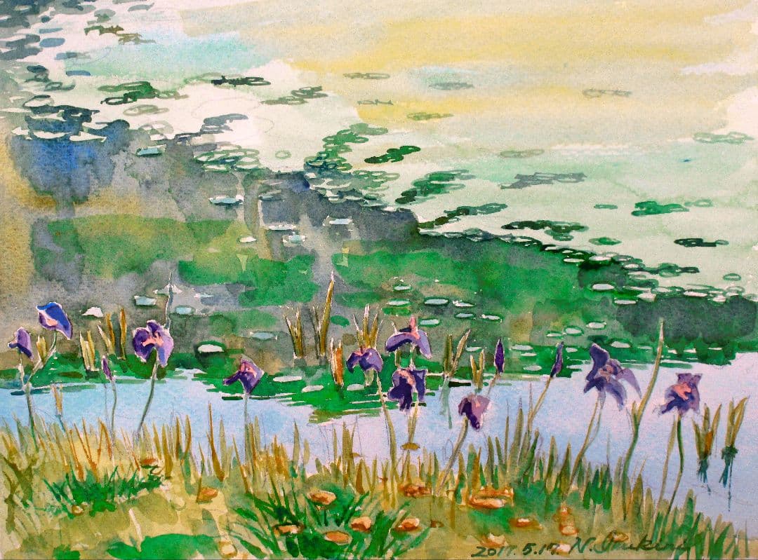 水彩画「菖蒲と水草」