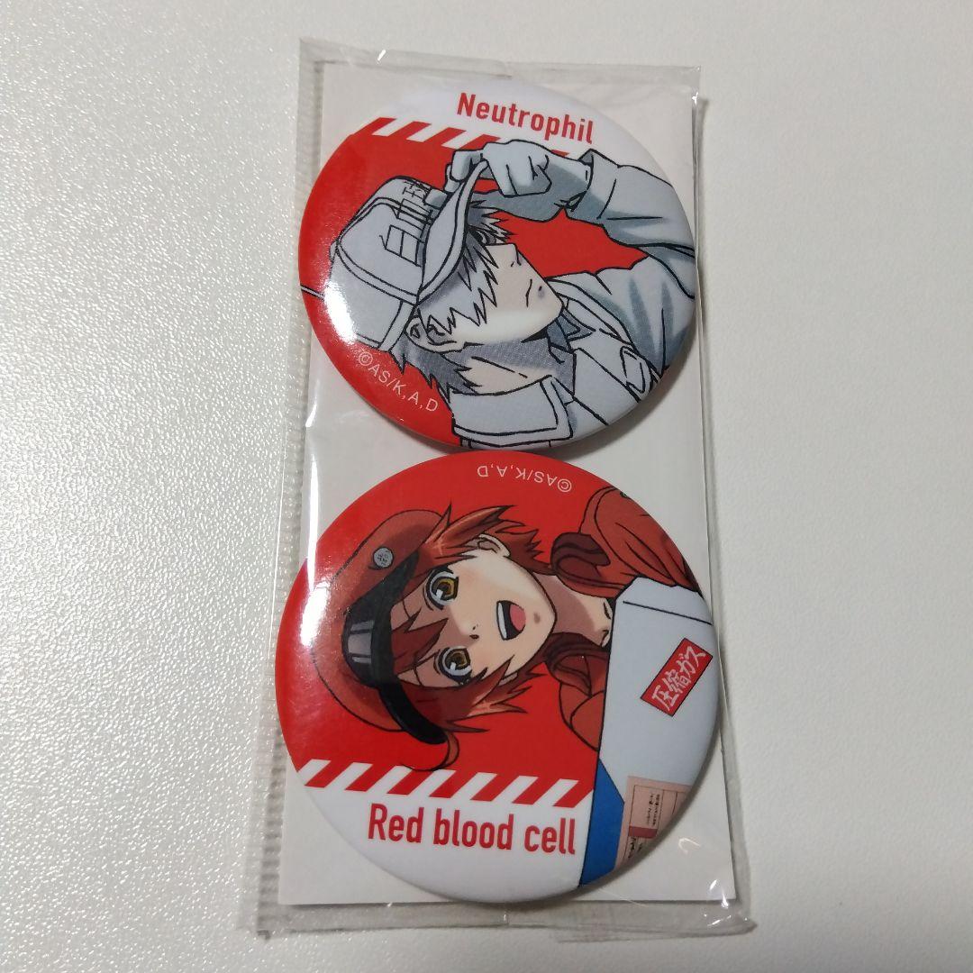 【はたらく細胞】白血球＆赤血球 缶バッジセット
