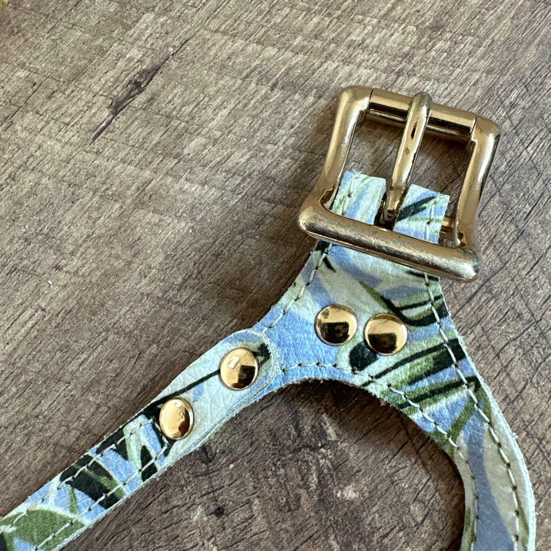 バディベルト BB バハマ 4号 アクセントリード