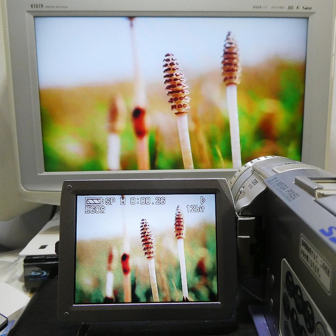 動作良好 パナソニックNV-GS100 MiniDVビデオカメラ　DVD化に最適