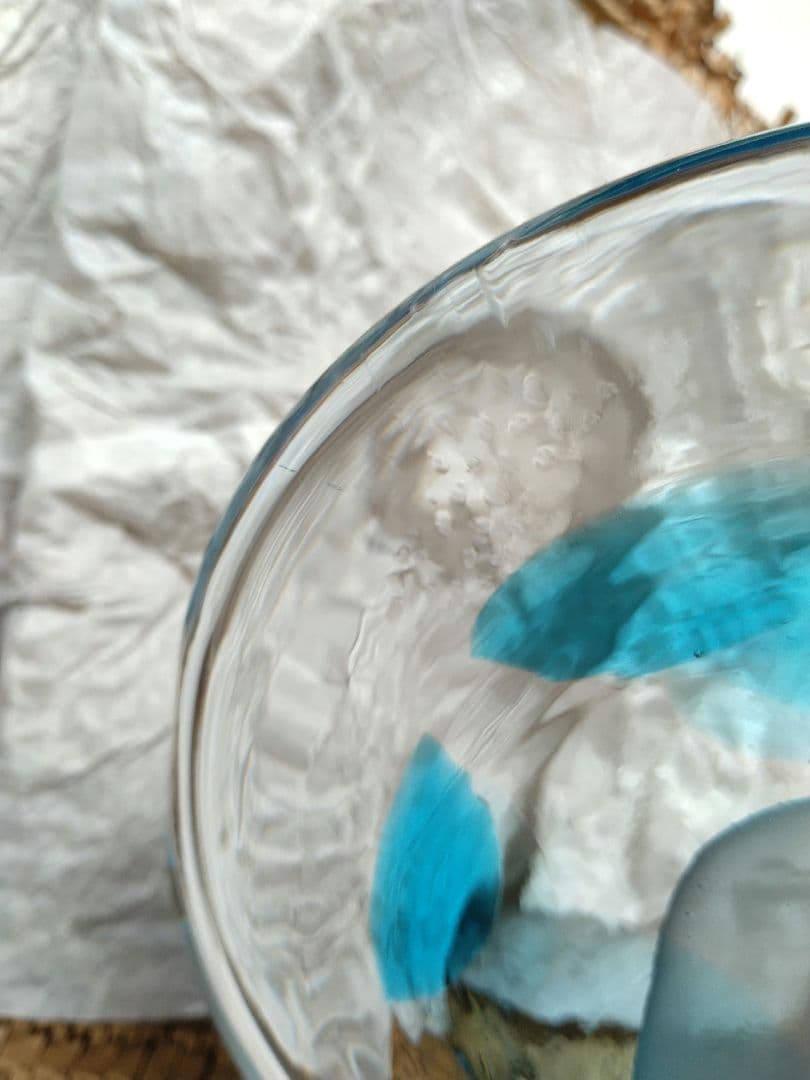 Lollipop ロリポップ scope スコープ