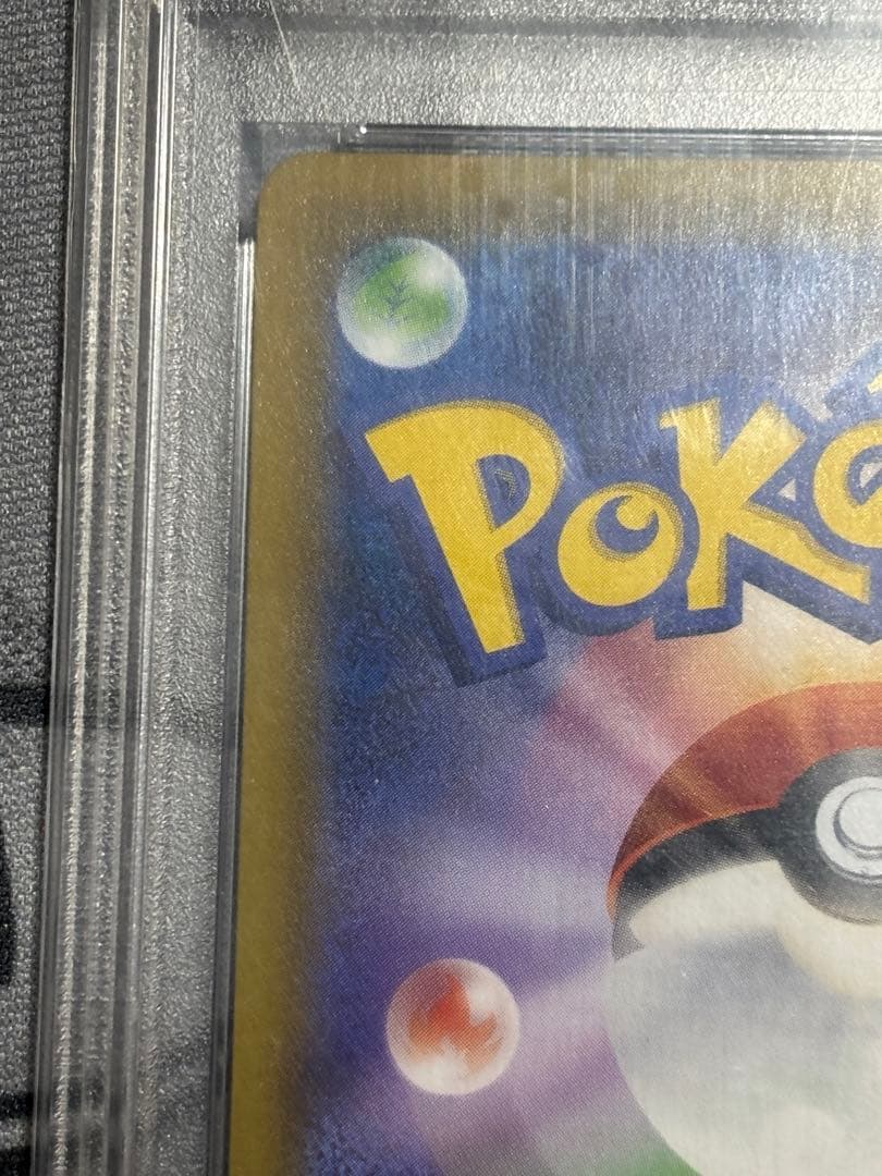 エリカのおもてなし PSA10