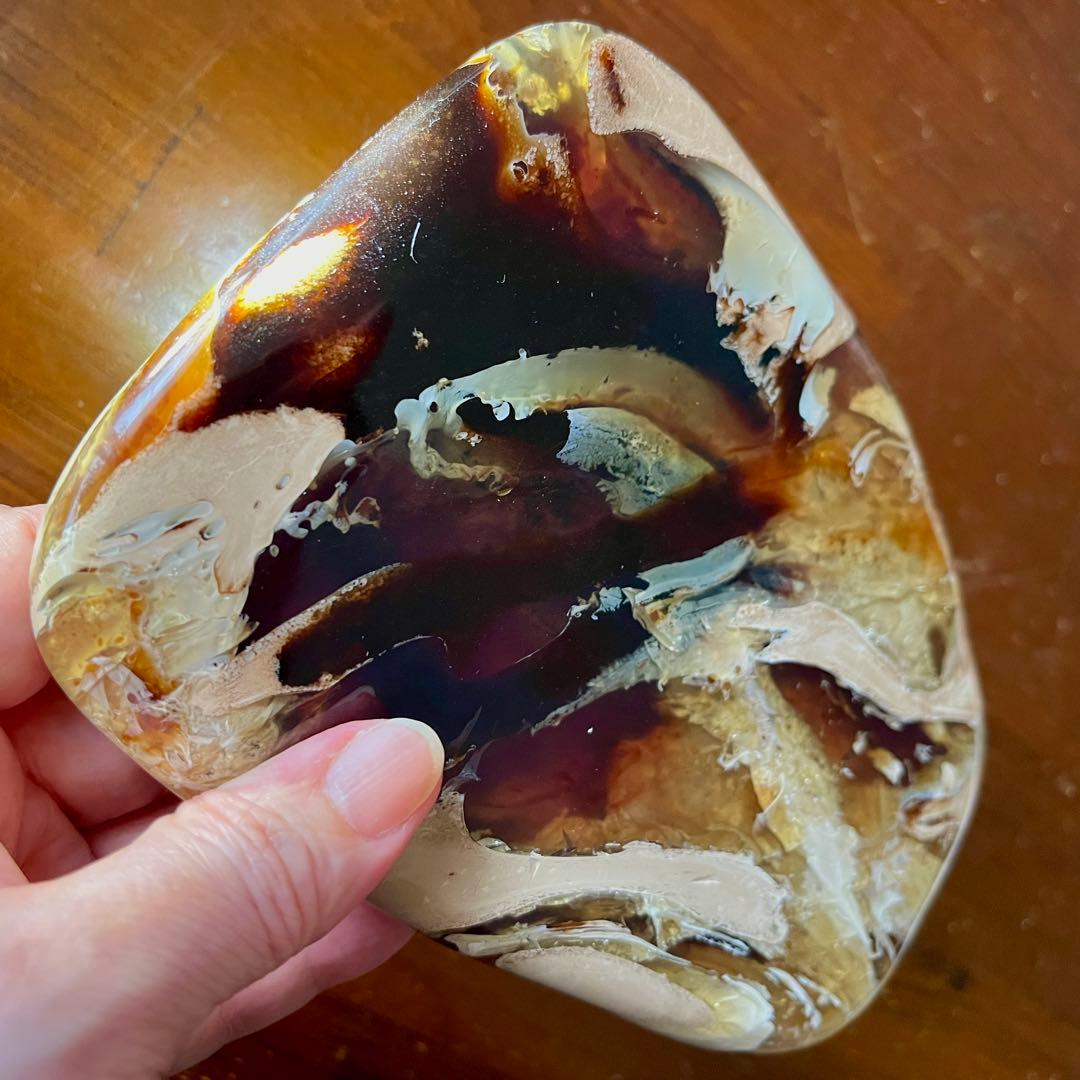 鑑別付 琥珀 標本 巨大 タイガーアンバー アンバー レア 希少 鑑賞石