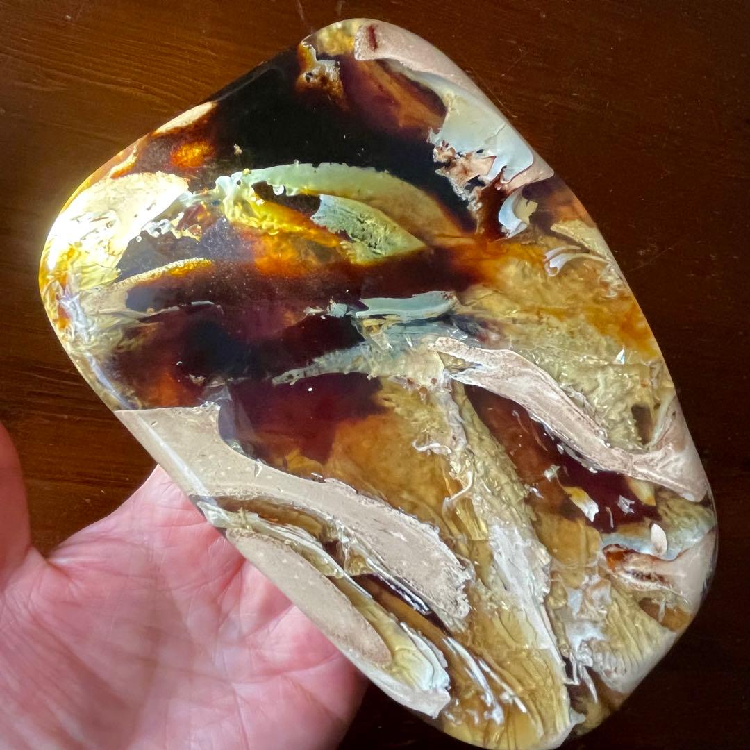 鑑別付 琥珀 標本 巨大 タイガーアンバー アンバー レア 希少 鑑賞石