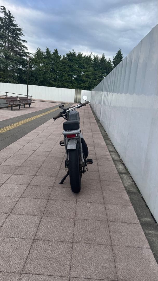 Bafang 電動アシスト自転車 ファットタイヤ