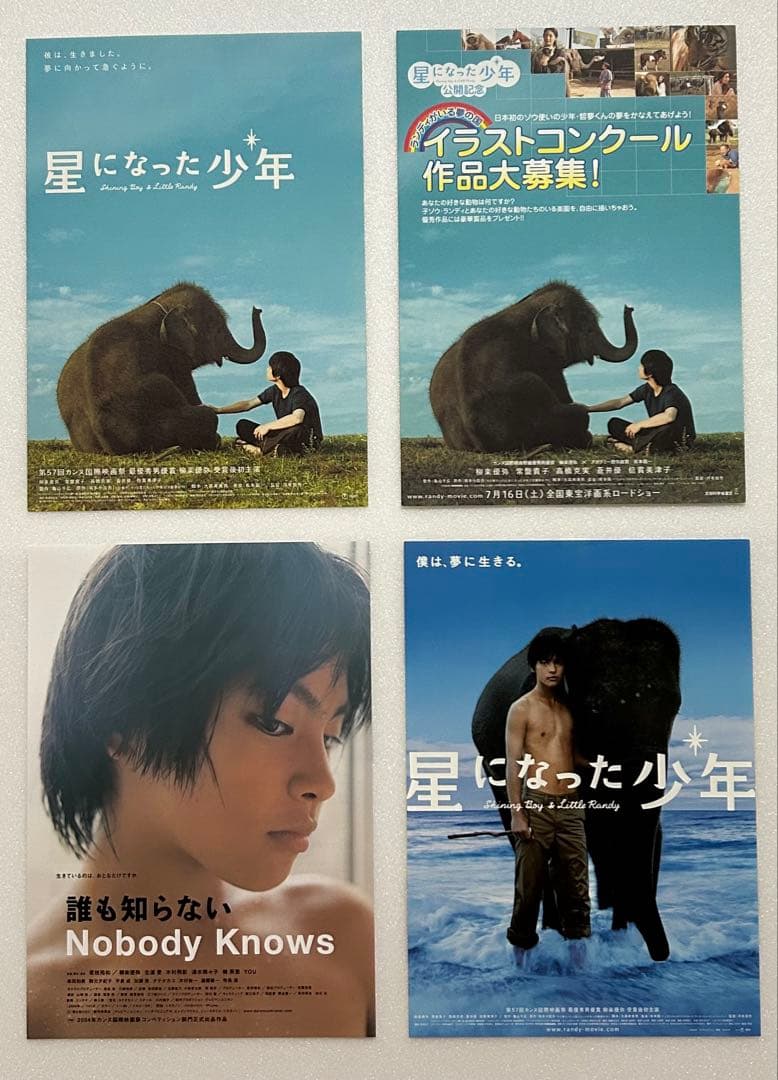 柳楽優弥 さん 出演 映画チラシ フライヤー 大量セット