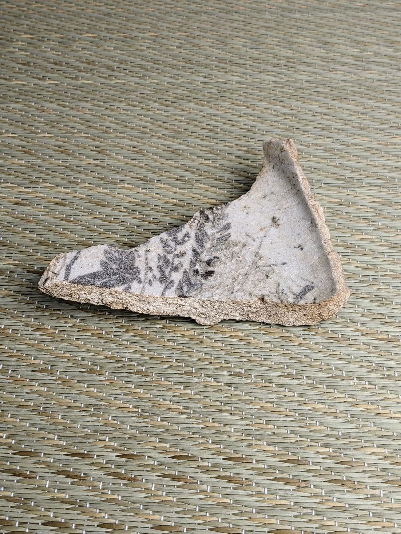 陶片 絵志野藤文鉢 桃山時代 志野陶片 志野鉢 絵志野