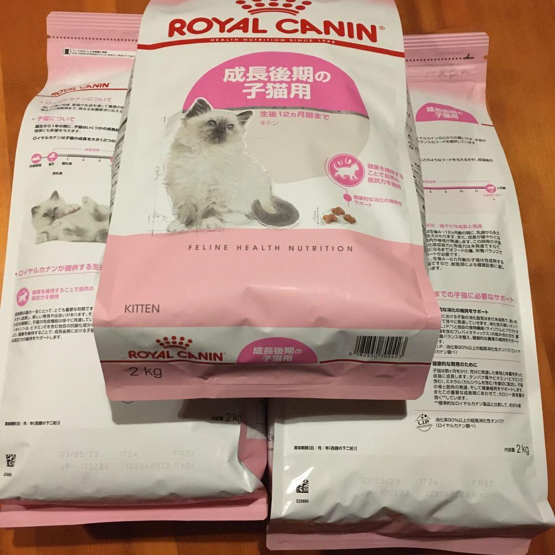 ロイヤルカナン キトン 2kg 3袋 ROYAL CANIN - ロイヤルカナン