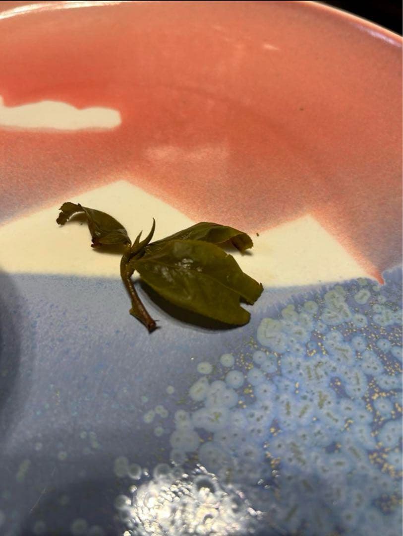 台湾好茶】頂級 大禹嶺高冷茶150g *5袋 春茶2025