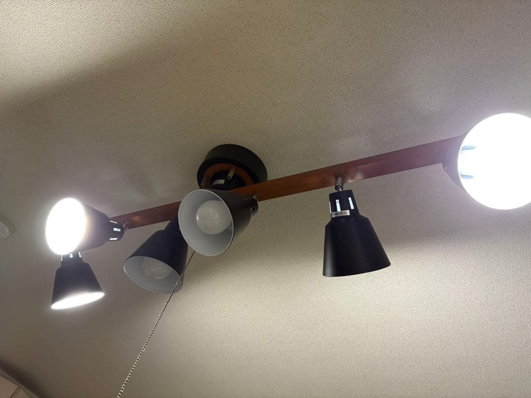 【値段交渉可】エア•リゾームインテリア　シーリングライト　manis