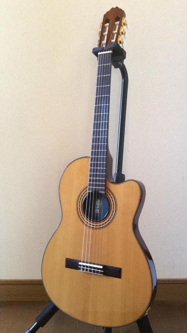 Orville by Gibson Chet Atkins CE オービル