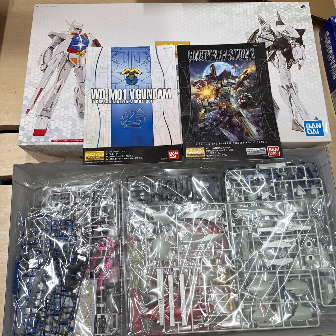 10 MG ターンa/ターンx ナノスキンイメージ　月光蝶