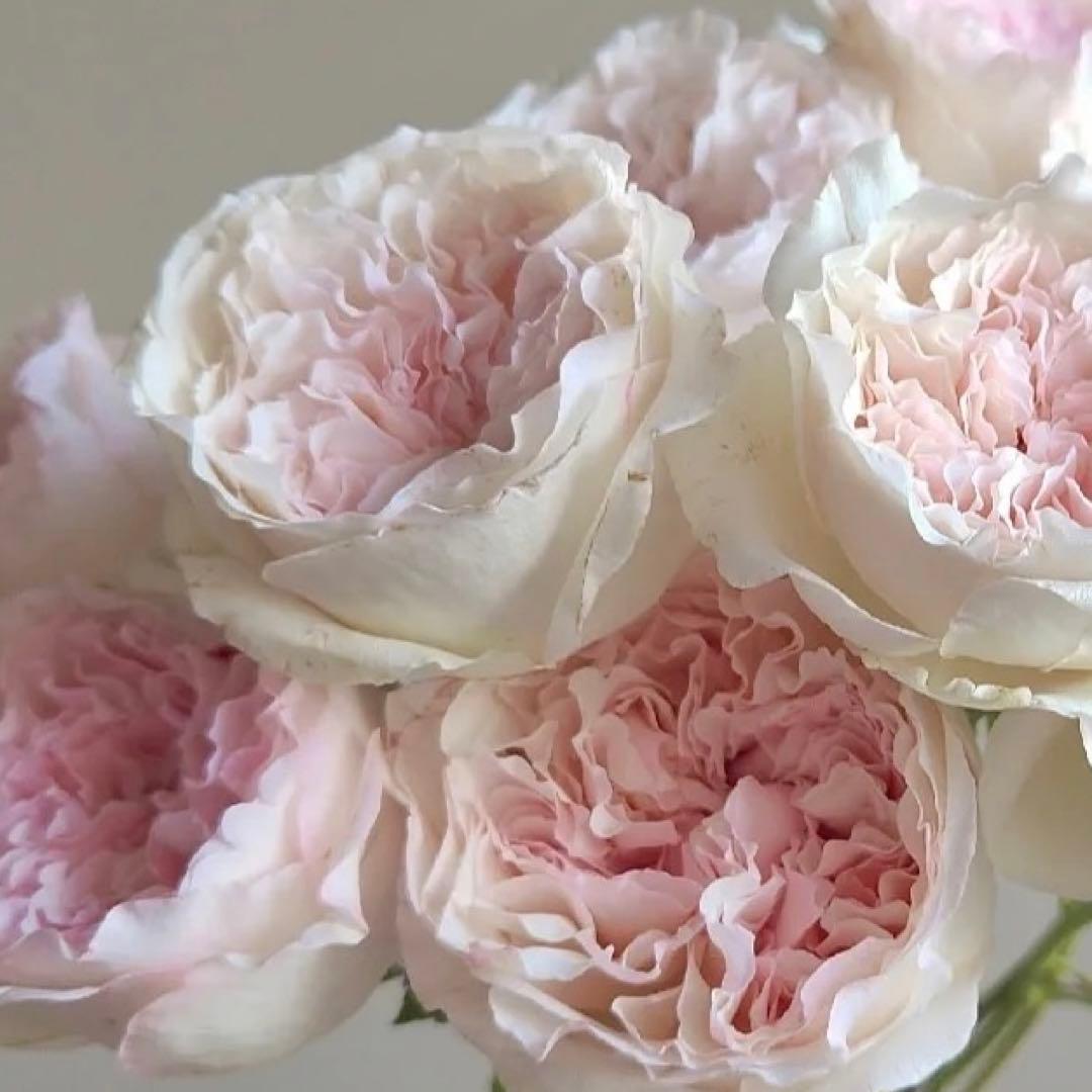 京焼 桂寛造 モダン フラワーベース 茶道 工芸品 花瓶 花入 壺 本物