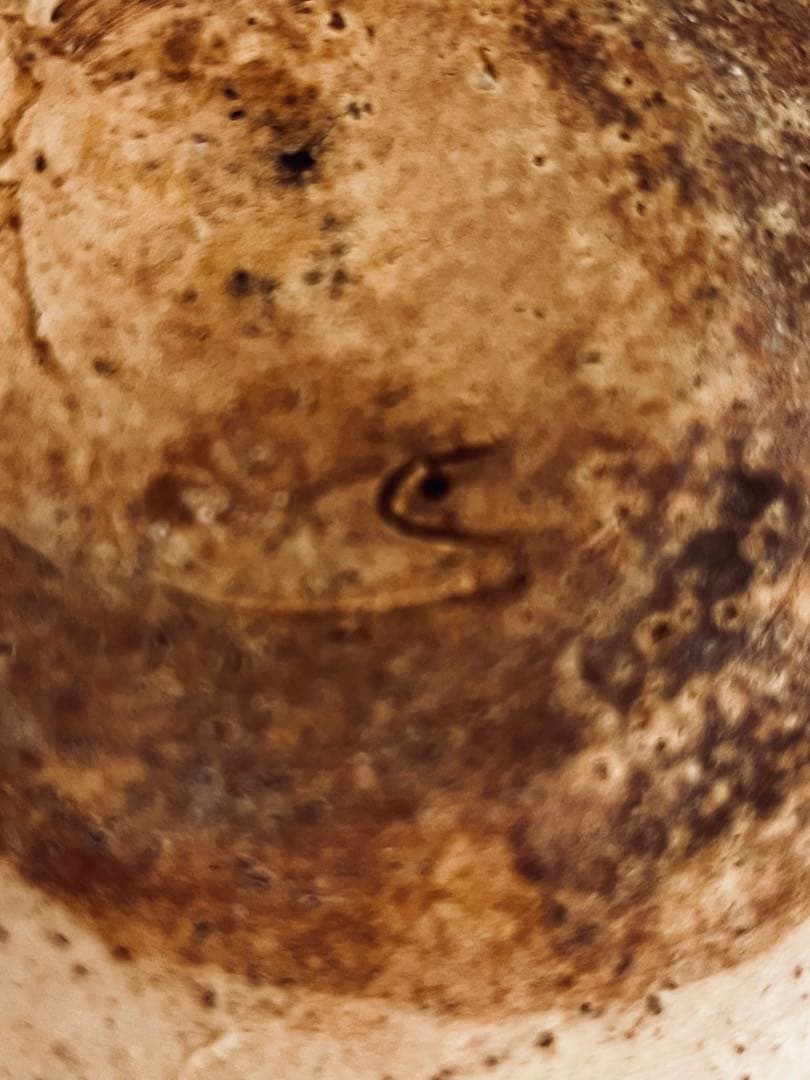 杉本立夫 鹿紋小皿 京都大吉