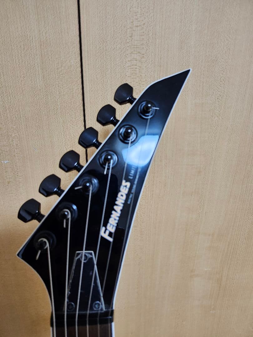 フェルナンデス　FERNANDES　TEJ