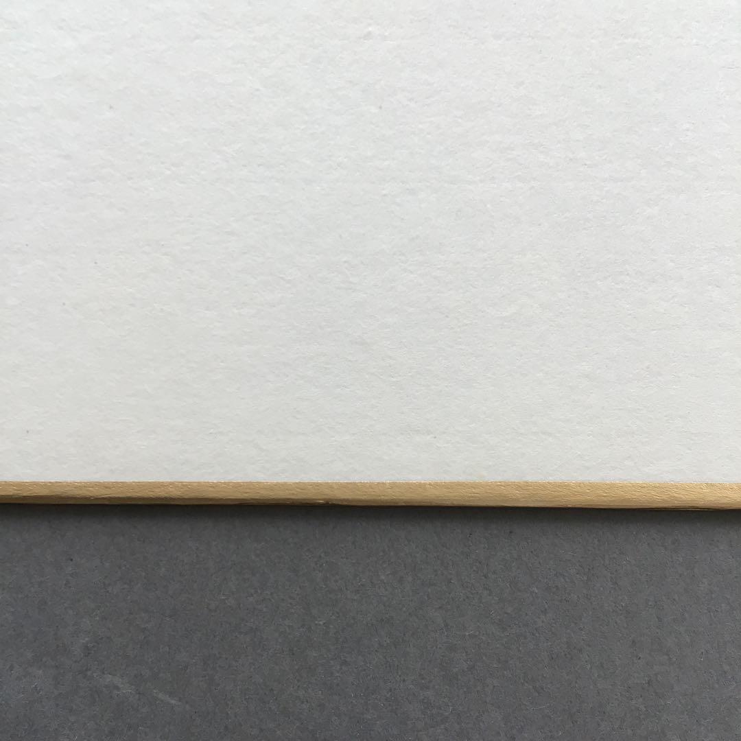 色紙 「夢」 松尾流 松尾宗倫(号:葆光斎)直筆 畳紙 配送用袋 S1033SS