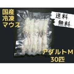 国産冷凍マウス アダルトM 30匹(送料無料一部地域発送不可) - メルカリ