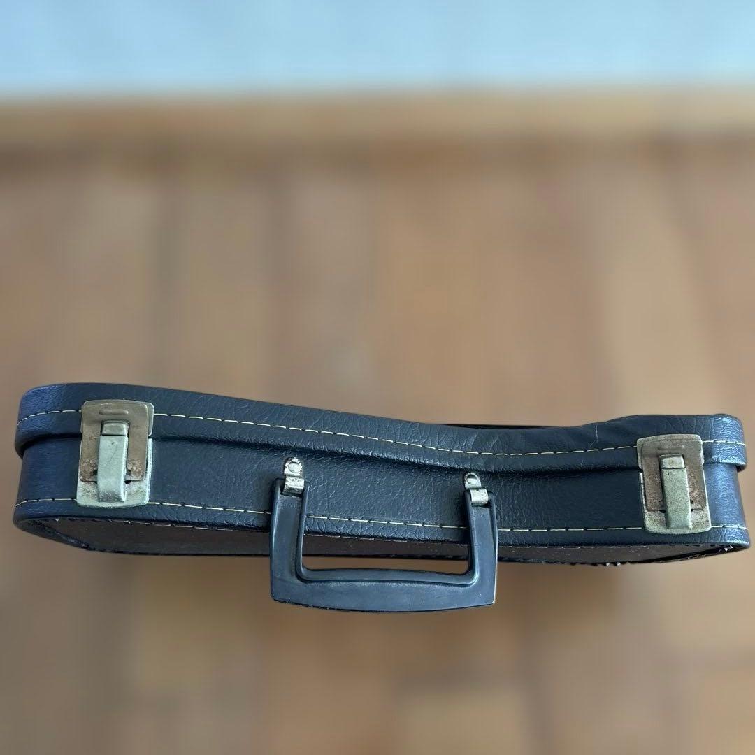 キンダーライアー ペンタトニック シュタイナー教育 訳あり