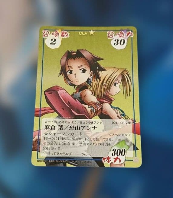 シャーマンキング 超占事略決カード 葉&アンナSP - メルカリ