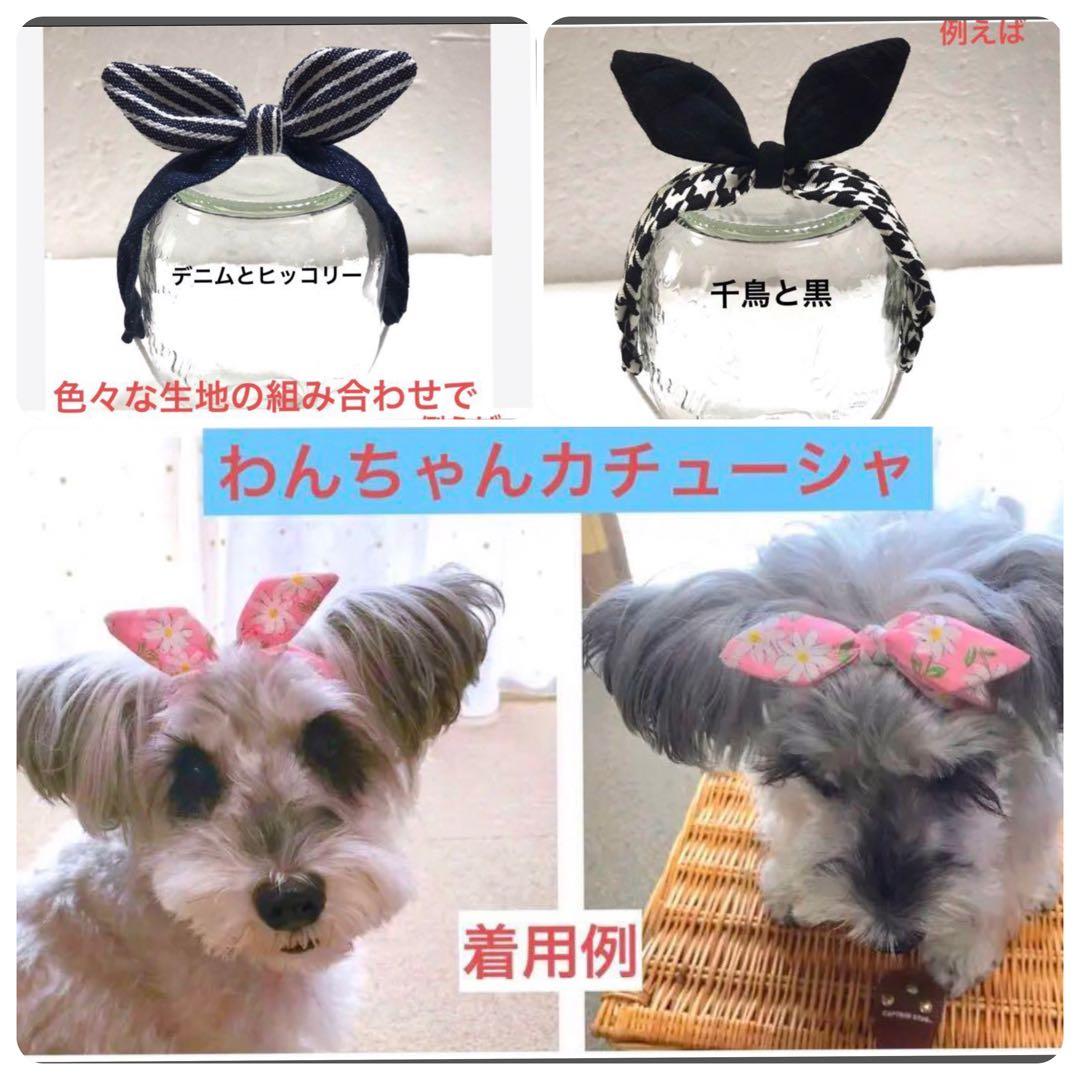 犬服袴♡Y様♡即購入OKd(ゝω・´○)