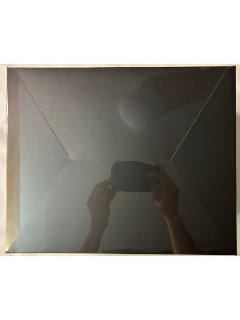 未開封　SKULLPANDA You Found Me! アソートボックス