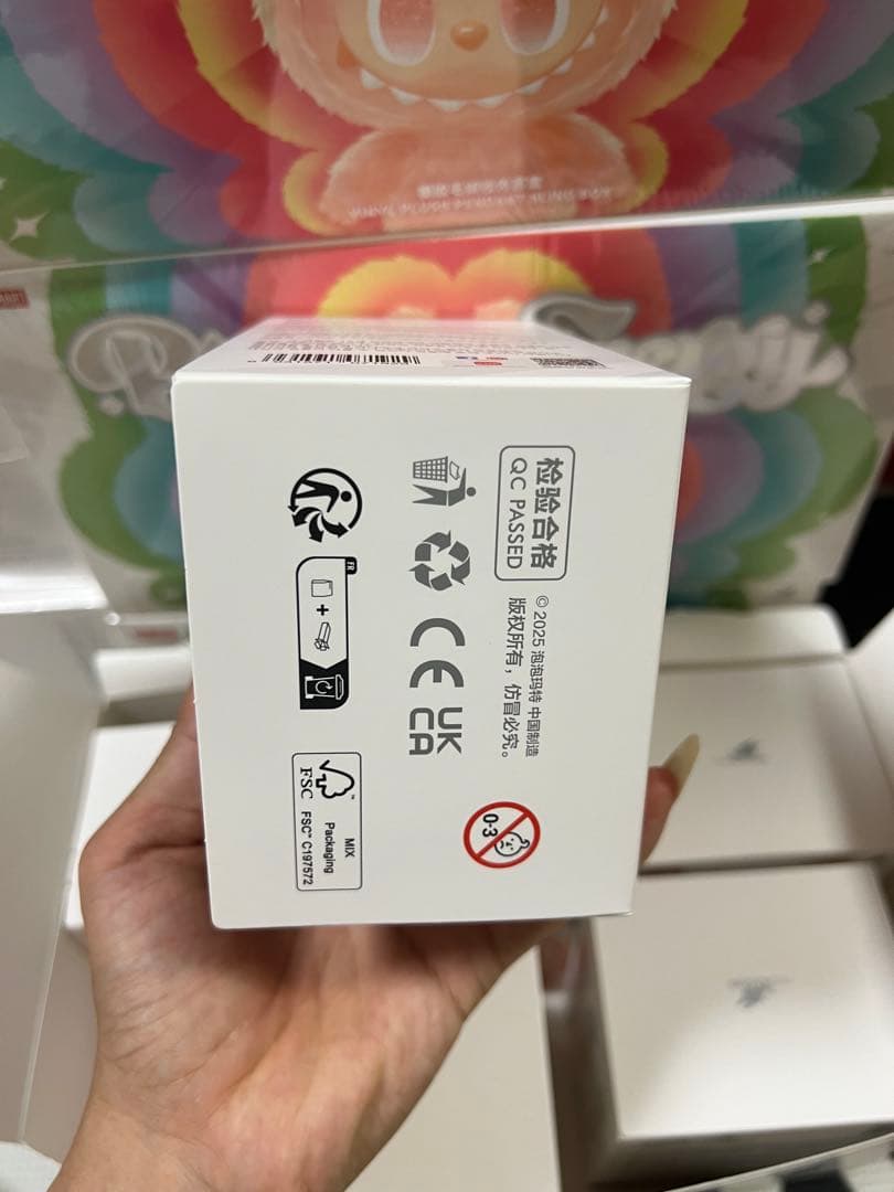 【正規品・未開封】Labubu Big into Energy 10箱