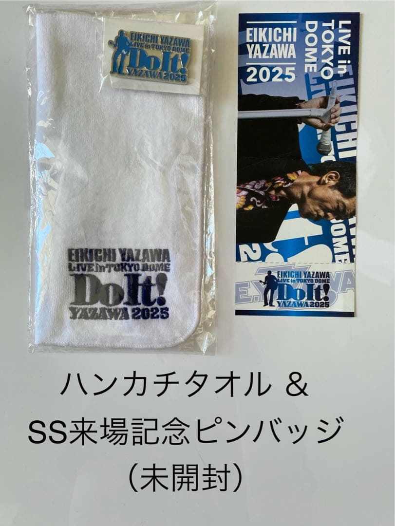 矢沢永吉 DoIt!2025 SS席特典ミニタオル ピンバッジ他フェイスタオル等