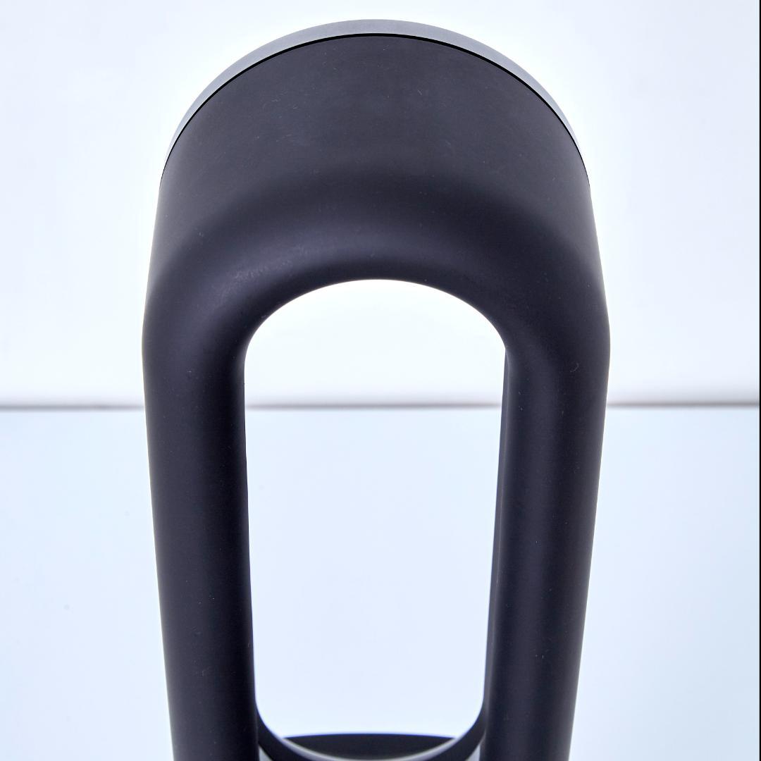 【引取限定】幸せ者さま専用 ダイソンホット&クールAM09ブラック/アイアン1個