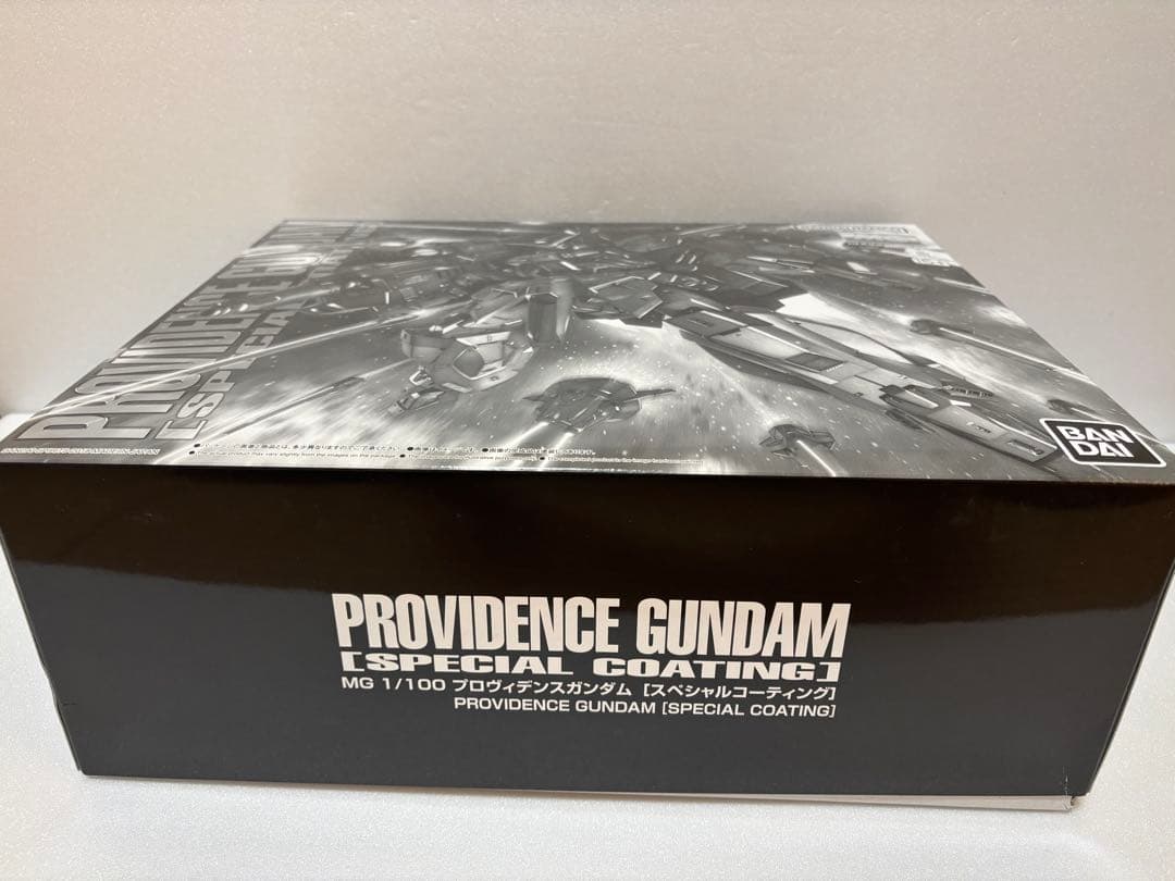 ＭＧ 1/100 プロヴィデンスガンダム [スペシャルコーティング] 3個