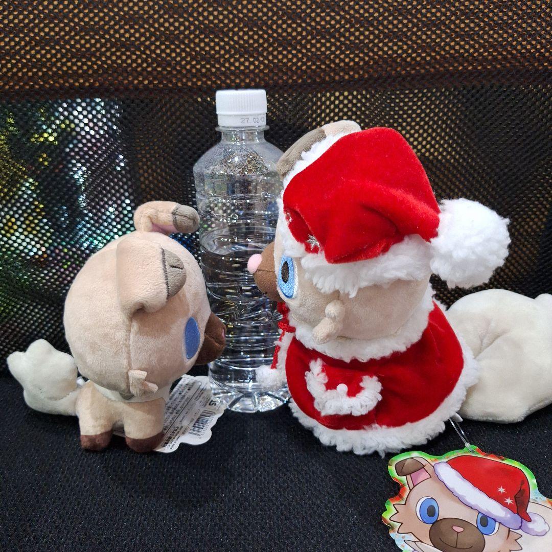 ポケモンセンター　イワンコ　ルガルガン　ドール　クリスマス　ぬいぐるみ　セット