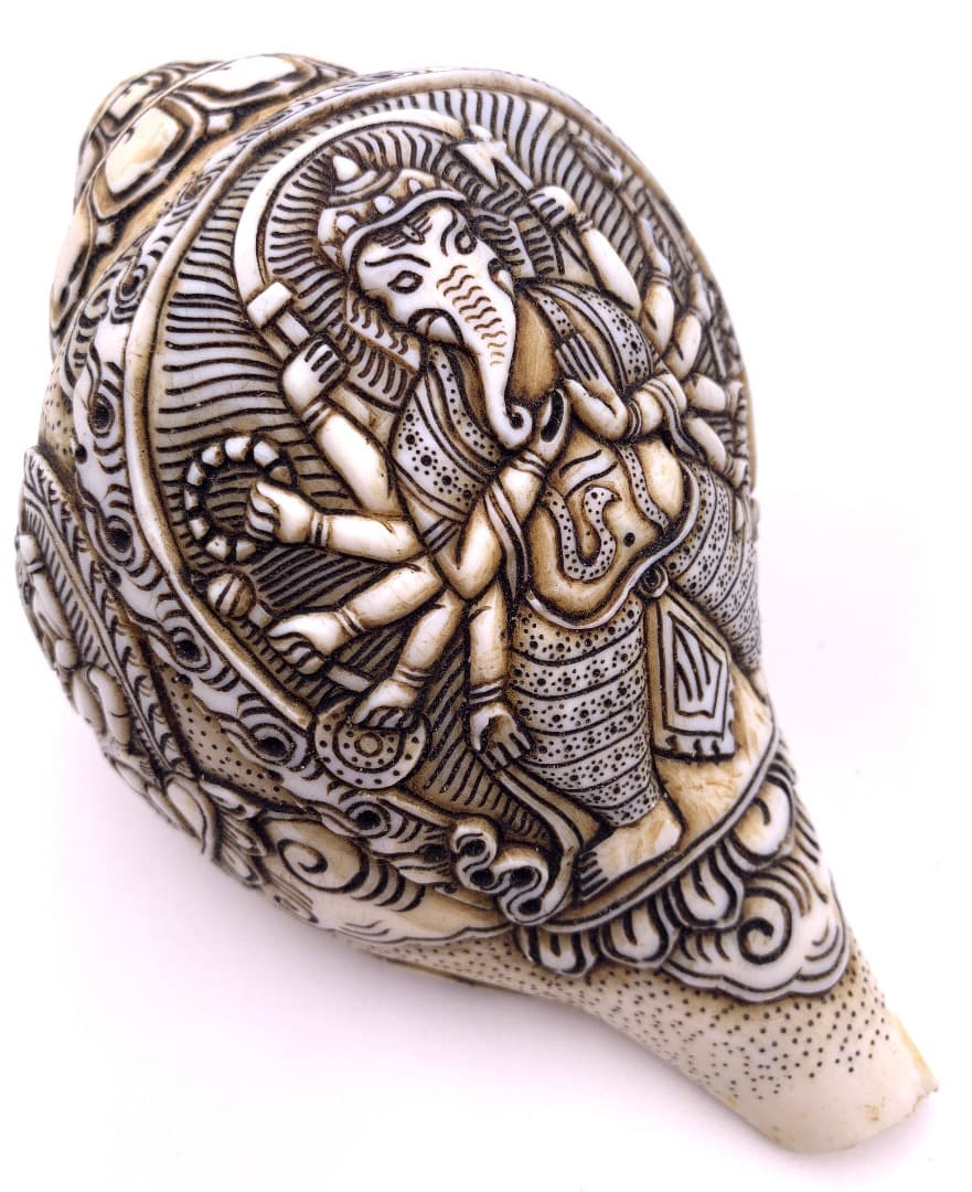 ◇チベット密教法具 法螺貝（シャンカ）ーガネーシャ-A1