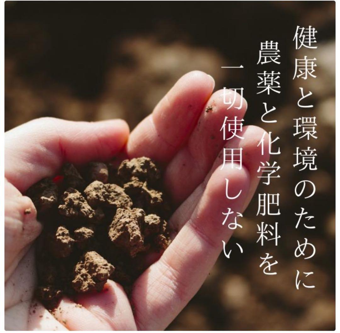 世界月3000本限定】ハーモニーライフ酵素飲料「極み」 720ml、腸活にぜひ